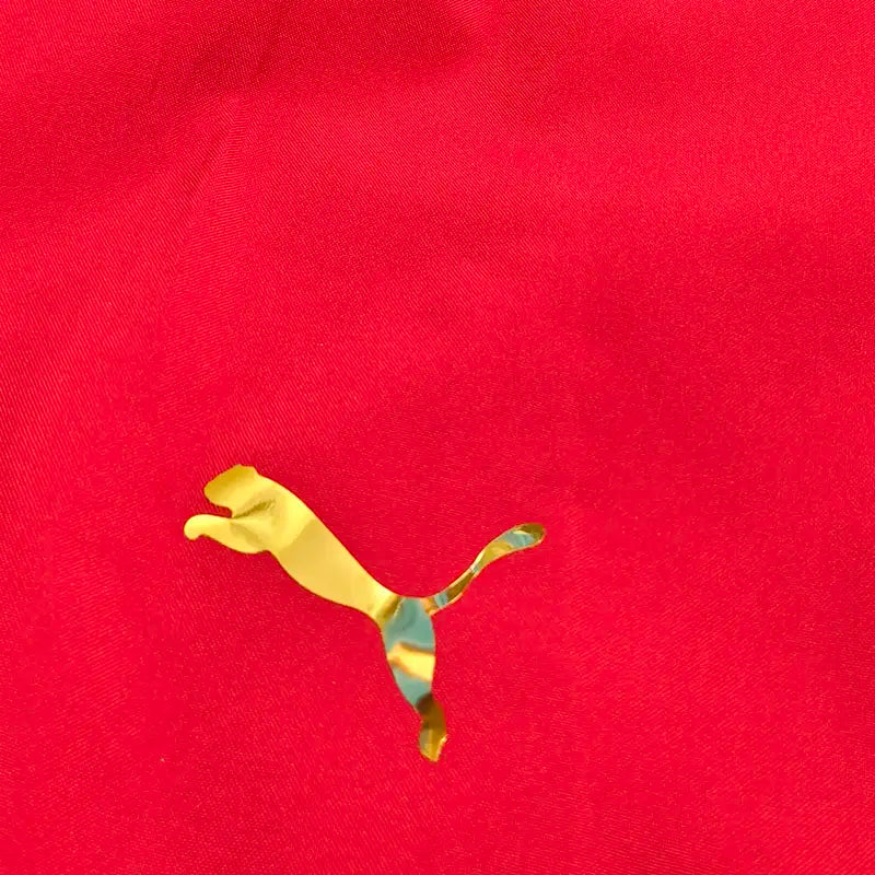 ROYAL CHALLENGERS BANGALORE 25/26 PREMIUM JACKET